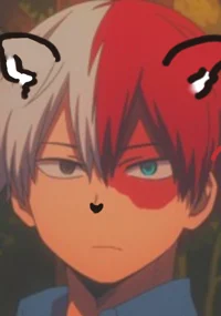 Shoto Todoroki fox