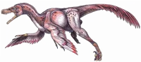 Bambiraptor