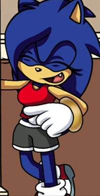 Sonica The Hedgehog 