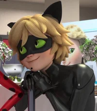 Chat Noir