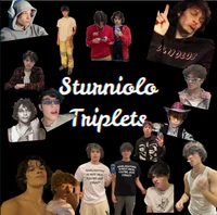 Sturniolo triplets 