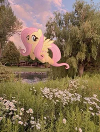 Fluttershy 