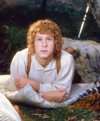 Merry Brandybuck