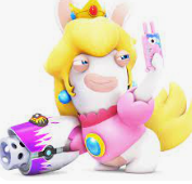 Trans rights activis