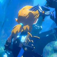 Link