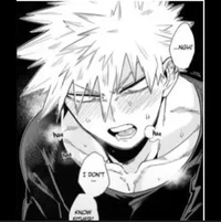 Bakugou top