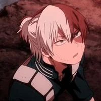 Shoto Todoroki