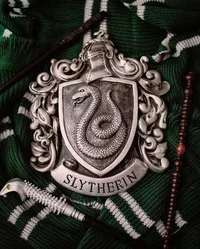 Slytherin boys