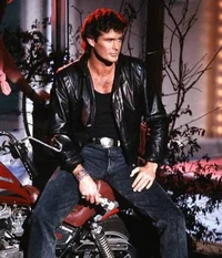 David Hasselhoff 