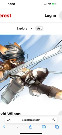 Mikasa furry 