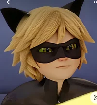 Cat noir