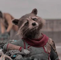 Rocket raccoon
