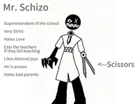 Mr schizo
