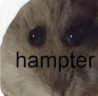 Hampter 