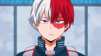 4-Shoto Todoroki 