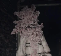 Sakura head