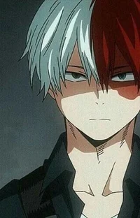 Shoto Todoroki 