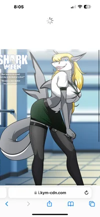 Shark student bully