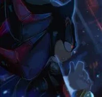 Shadow T hedgehog