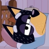 Sleepy Bandit Heeler