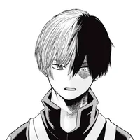 Shoto Todoroki 