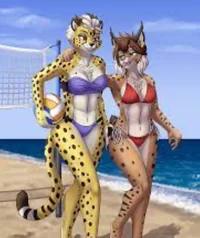 Cheeta and fox