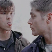 The Winchesters 