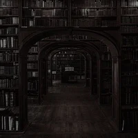 The Infinite Library