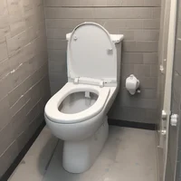 skibidi toilet