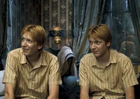 Weasley Twins