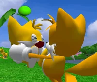 Tails The Fox