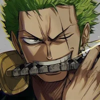 Highschool Zoro