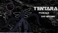 Tentara 