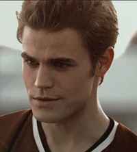 Stefan Salvatore 
