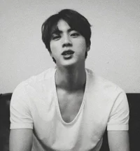 Seokjin 