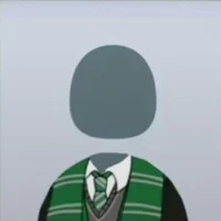 The Slytherin Boys