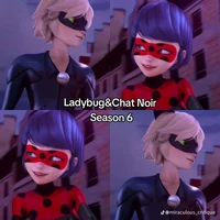 LadyBug cat noir 