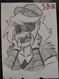 Serial Designation X