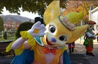 Donna Amusement park