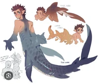 TF141 shark au