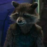 rocket racoon 