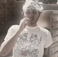 matt sturniolo