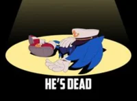After Sonic died rp