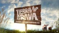 Tierra Brava 