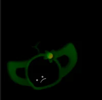 Rolcata - 17th March