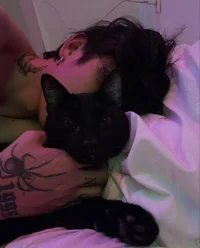 Boyfriend Law 