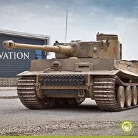Tiger 131