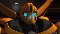 2-Bumblebee-TFP