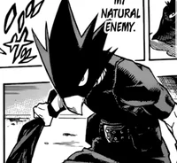 Fumikage Tokoyami