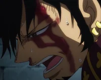 Trafalgar Law